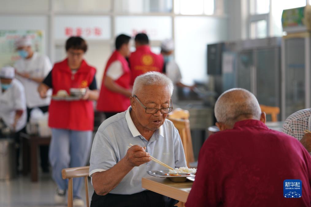 白菜注册验证手机号领